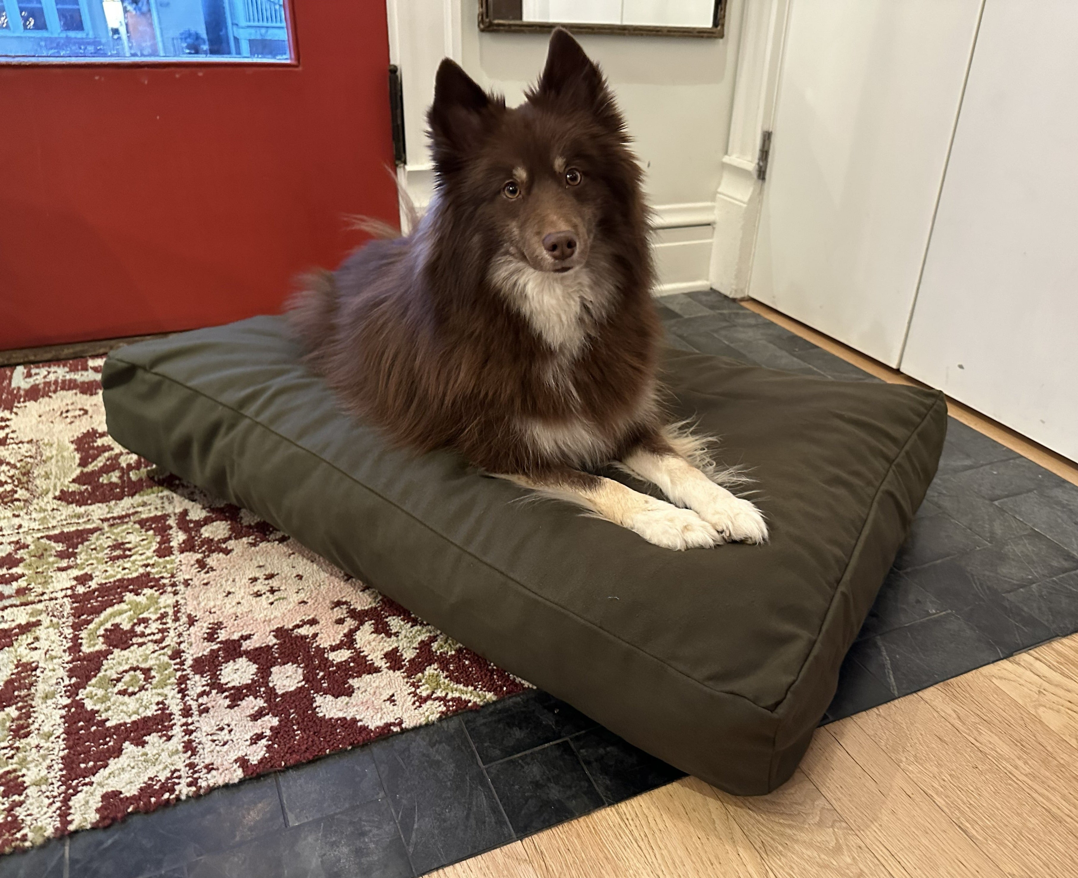 Cotton Duck Canvas Dog Bed wall art with nature-inspired artwork - product view 2