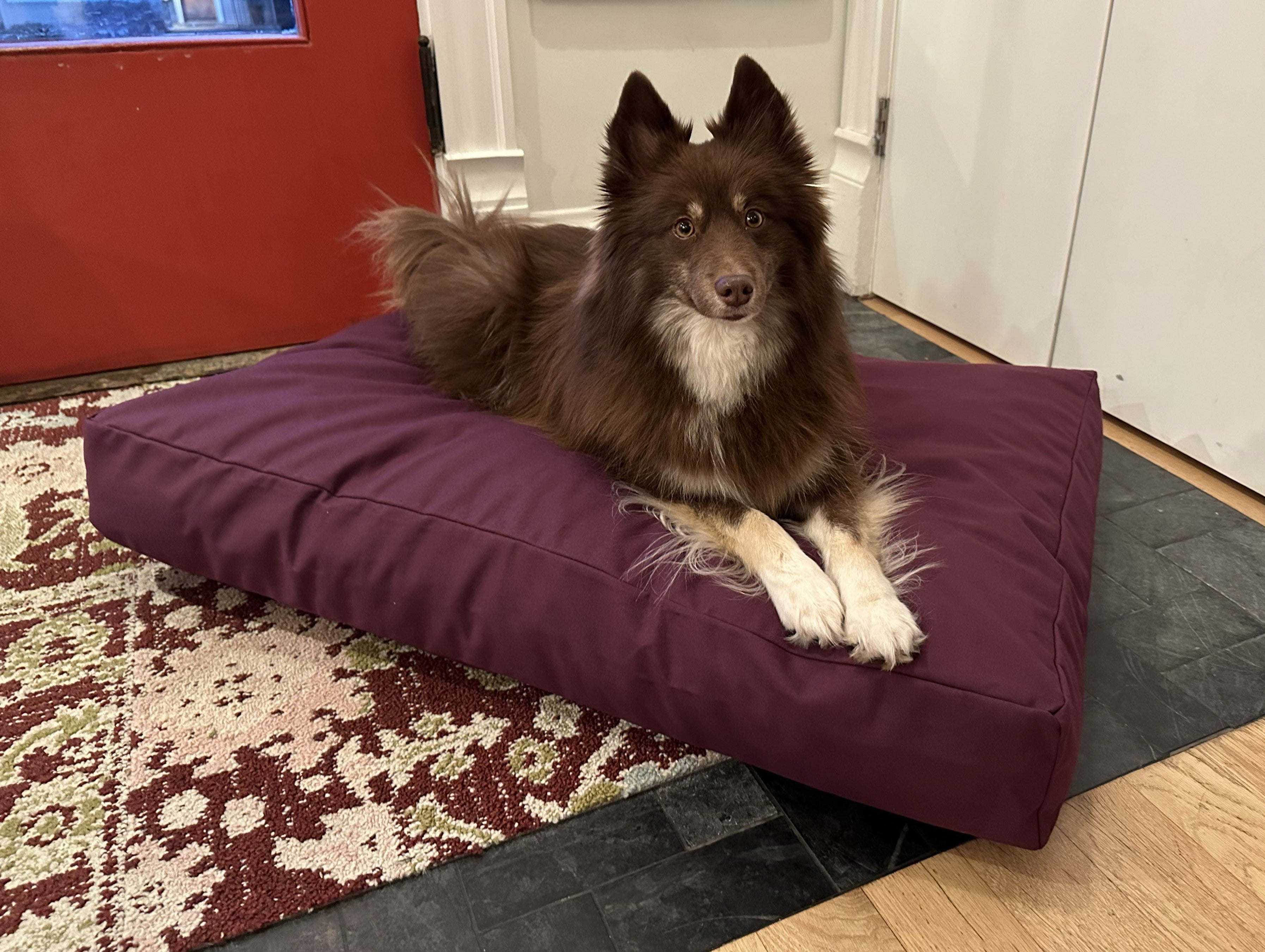 Cotton Duck Canvas Dog Bed wall art with nature-inspired artwork