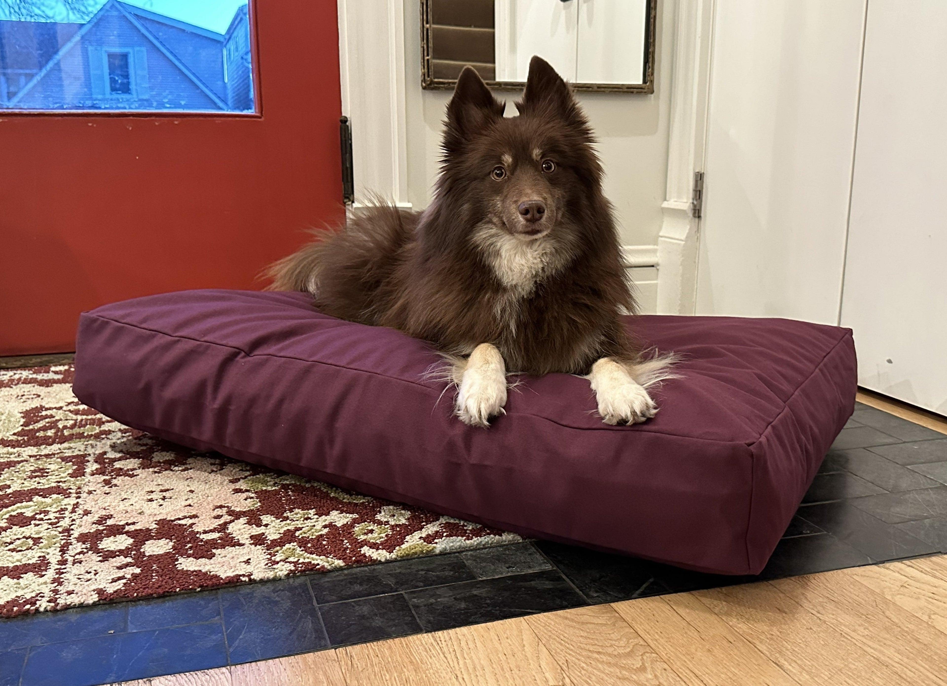 Cotton Duck Canvas Dog Bed wall art with nature-inspired artwork - product view 7