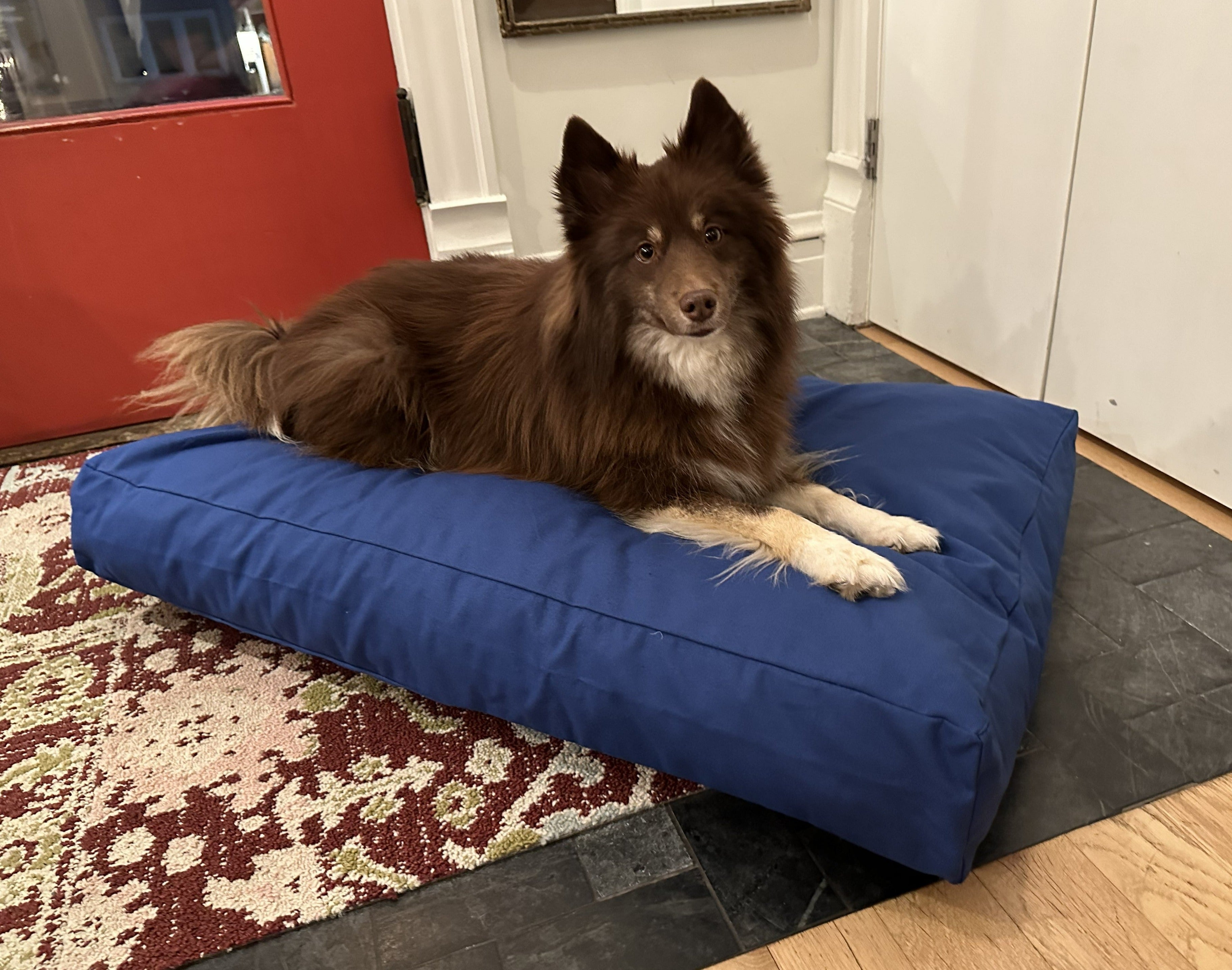 Cotton Duck Canvas Dog Bed wall art with nature-inspired artwork - product view 3