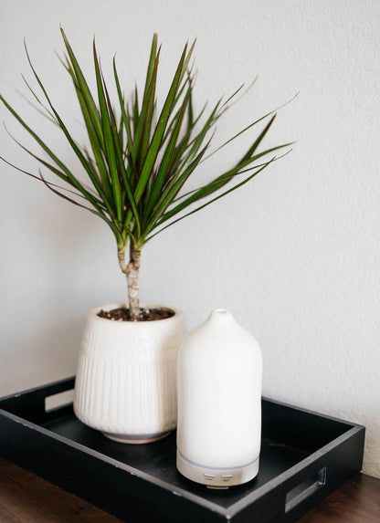 Potted plant and white diffuser on a black tray against a light gray wall