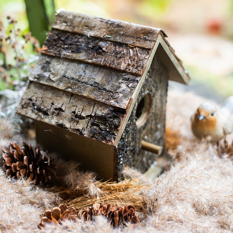 Birch Wood Decorative Birdhouse