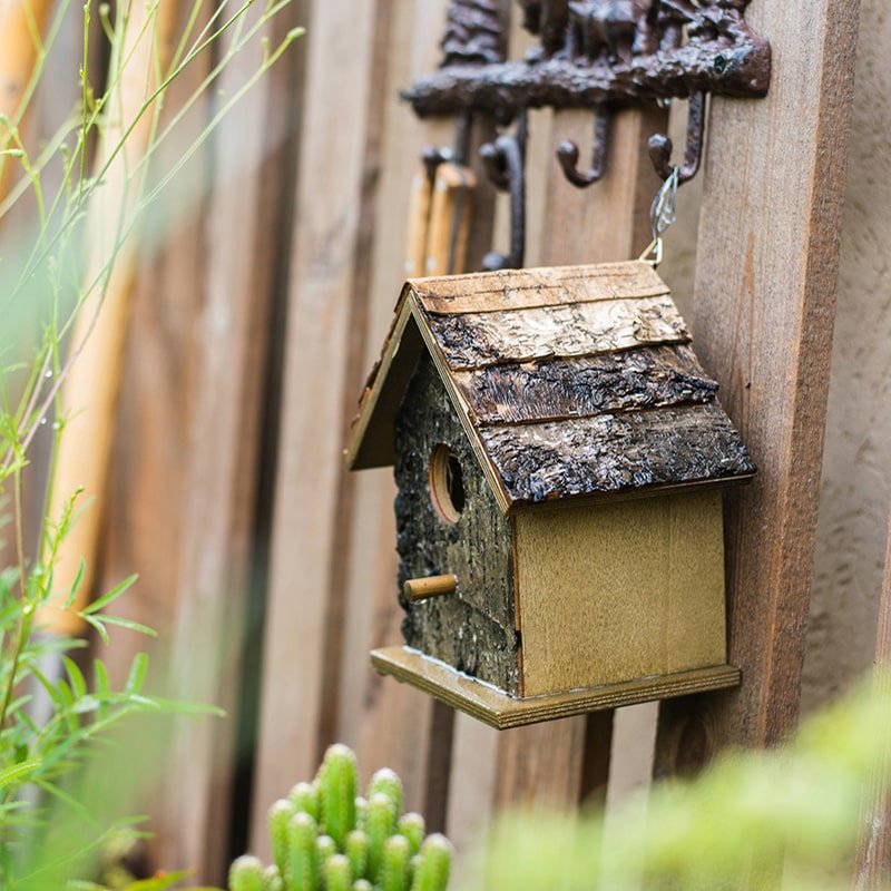 Birch Wood Decorative Birdhouse