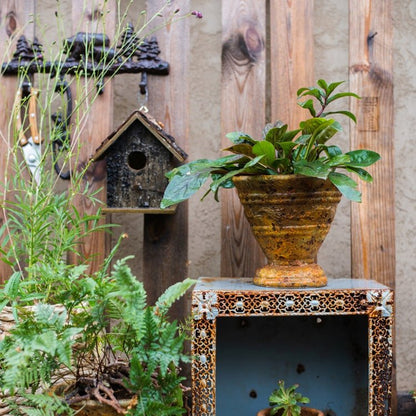 Birch Wood Decorative Birdhouse
