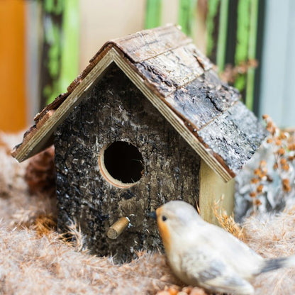 Birch Wood Decorative Birdhouse