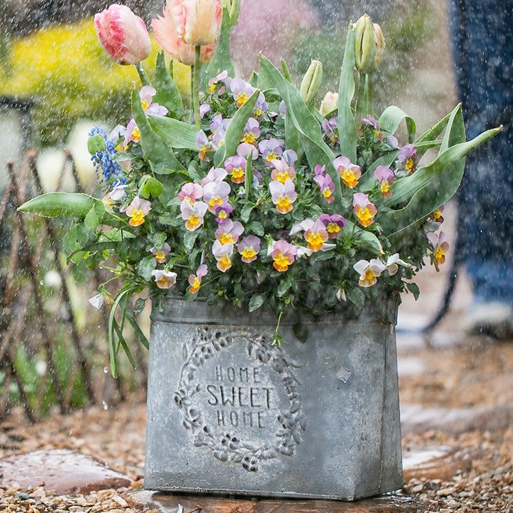 Gray Metal Flower Pot with Handle