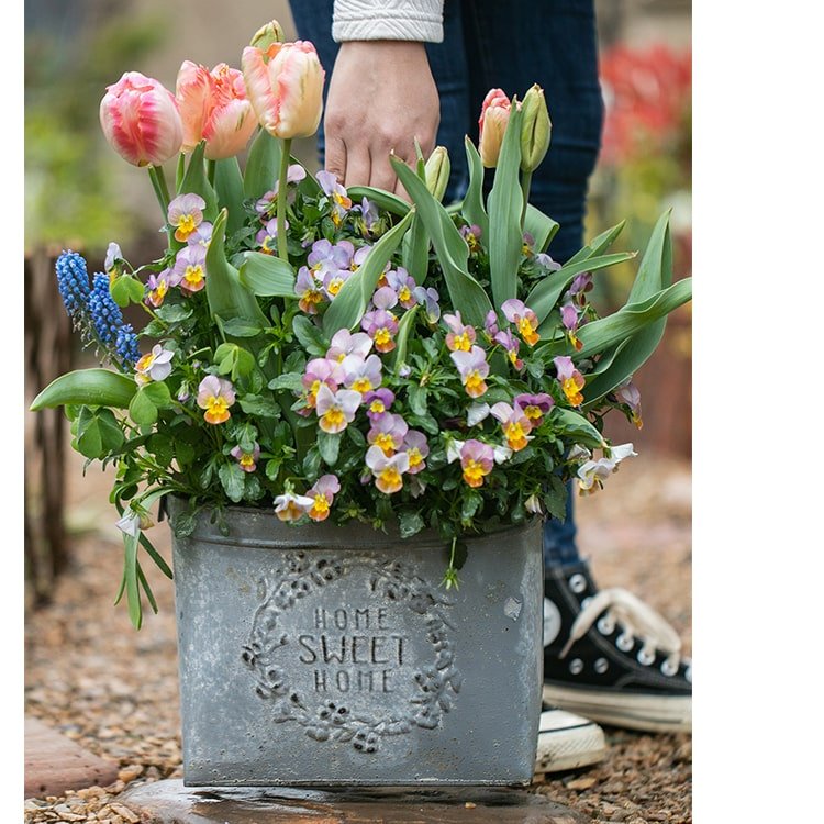 Gray Metal Flower Pot with Handle
