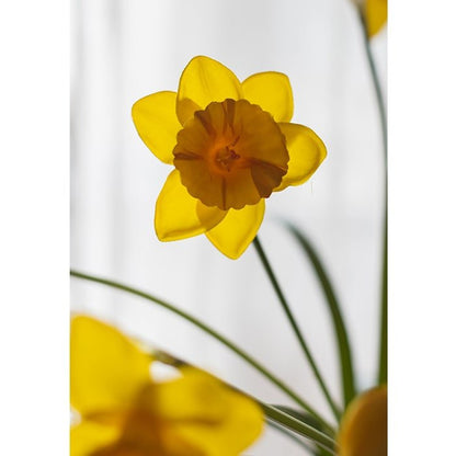 Artificial Yellow Daffodil Stem, 19.6 Inches