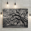 Monochrome Angel Oak Tree Canvas wall art with nature-inspired artwork