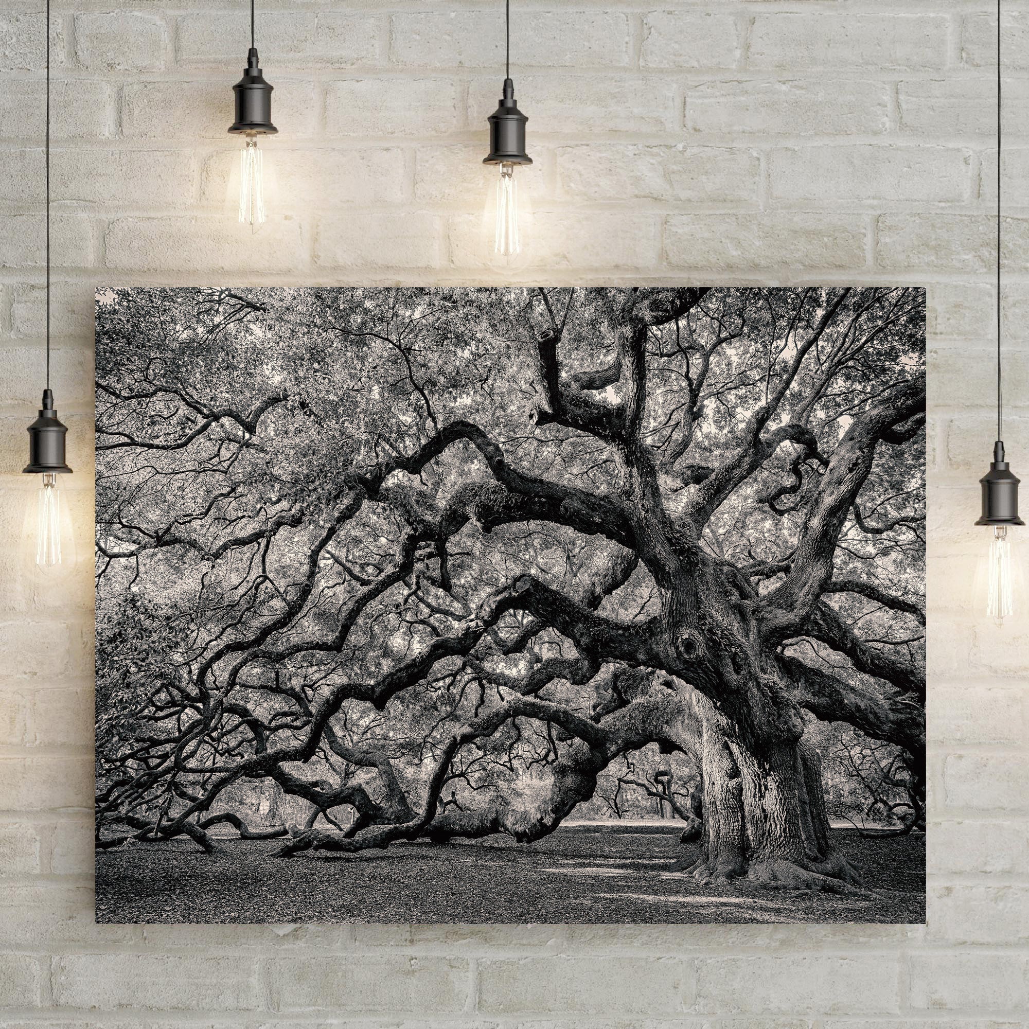 Monochrome Angel Oak Tree Canvas wall art with nature-inspired artwork