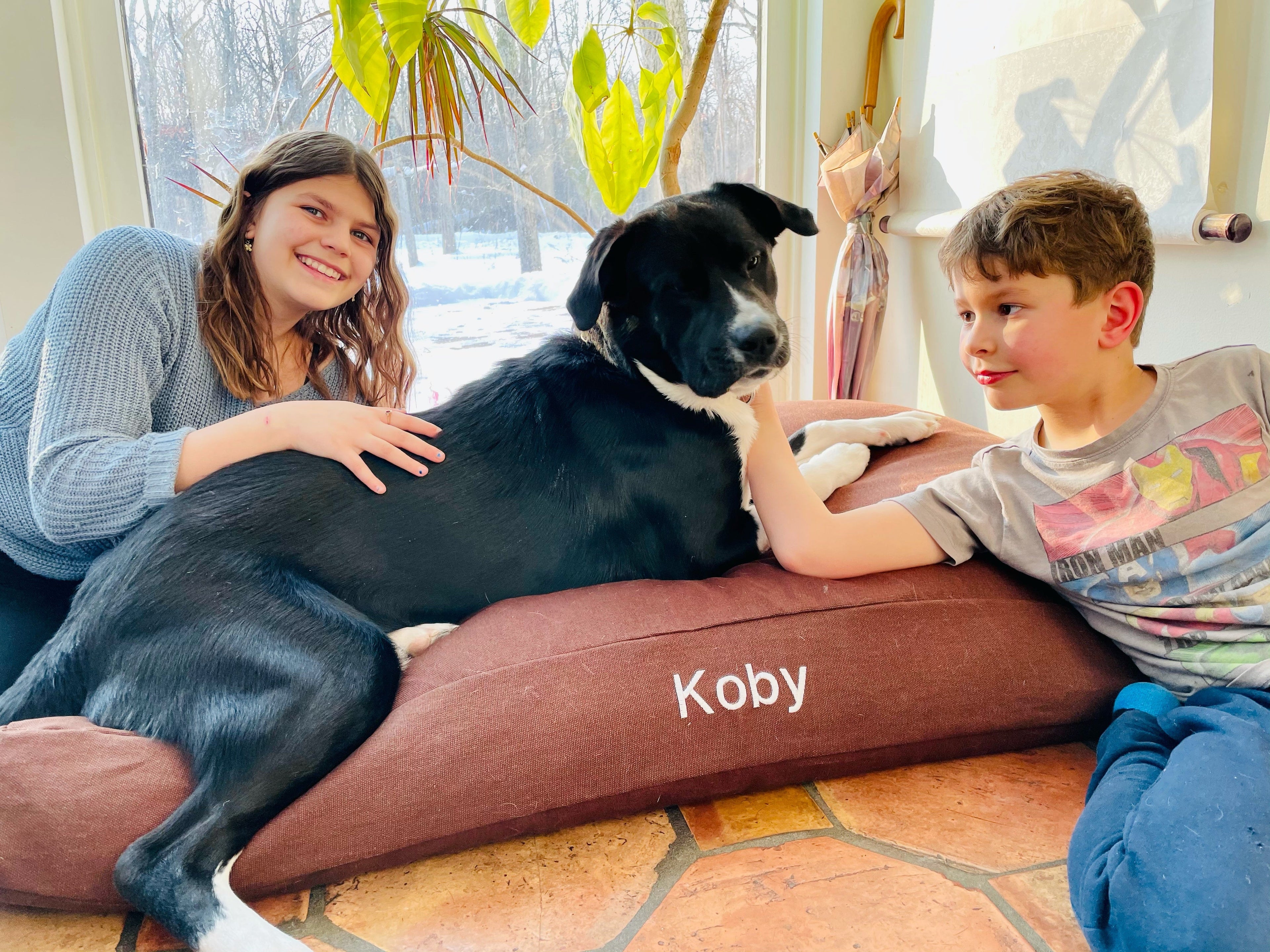 Premium Hemp Dog Bed home products with nature-inspired artwork - product view 8