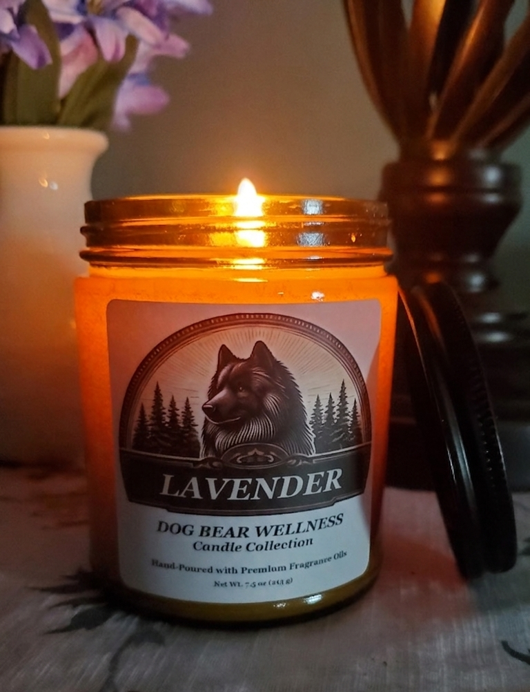 A lit amber glass jar candle labeled 'LAVENDER Dog Bear Wellness Candle Collection' sits on a patterned cloth with a black lid beside it, in a cozy indoor setting with blurred background decor.