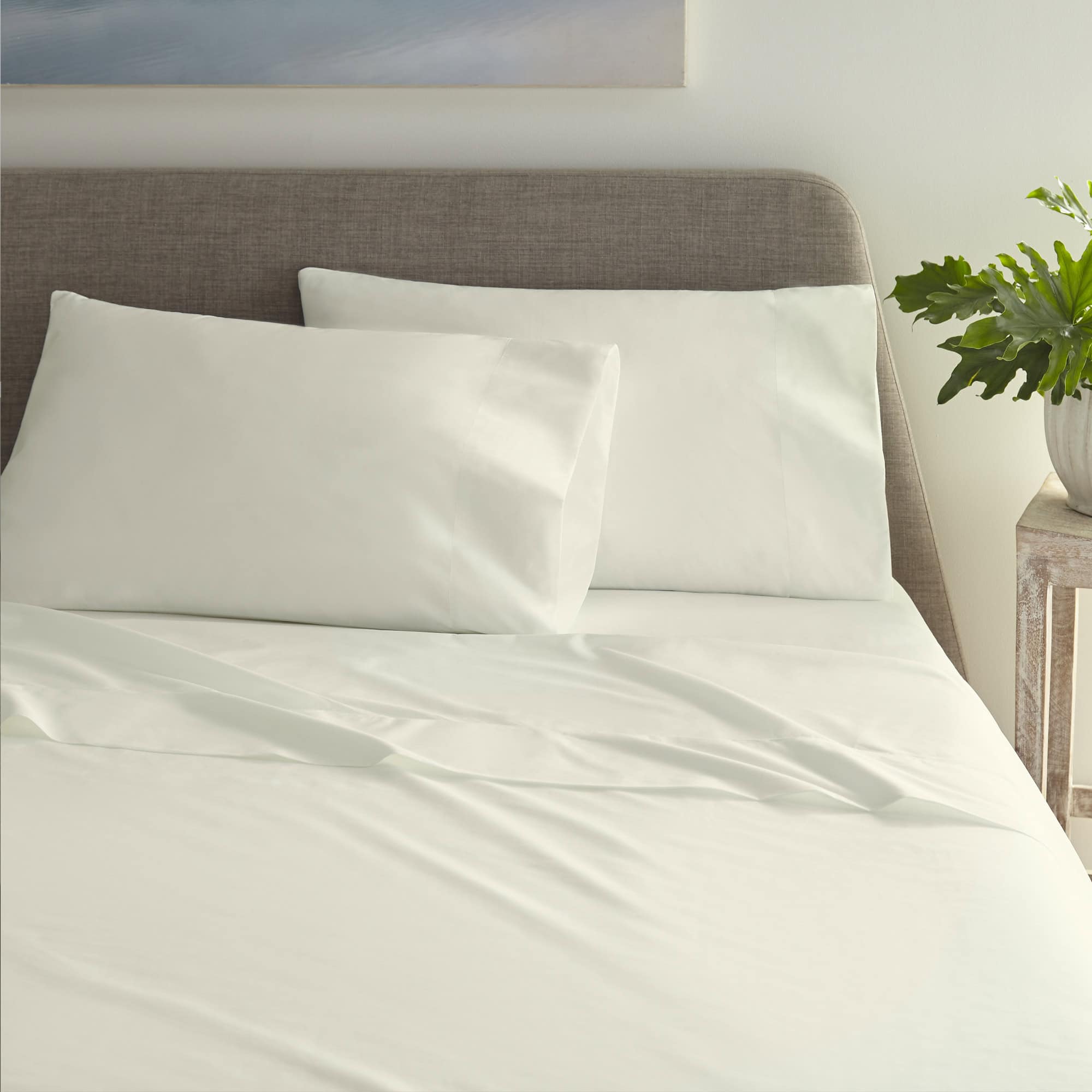 270 Tc Percale Sheet Sets sheet set with nature-inspired artwork - product view 2
