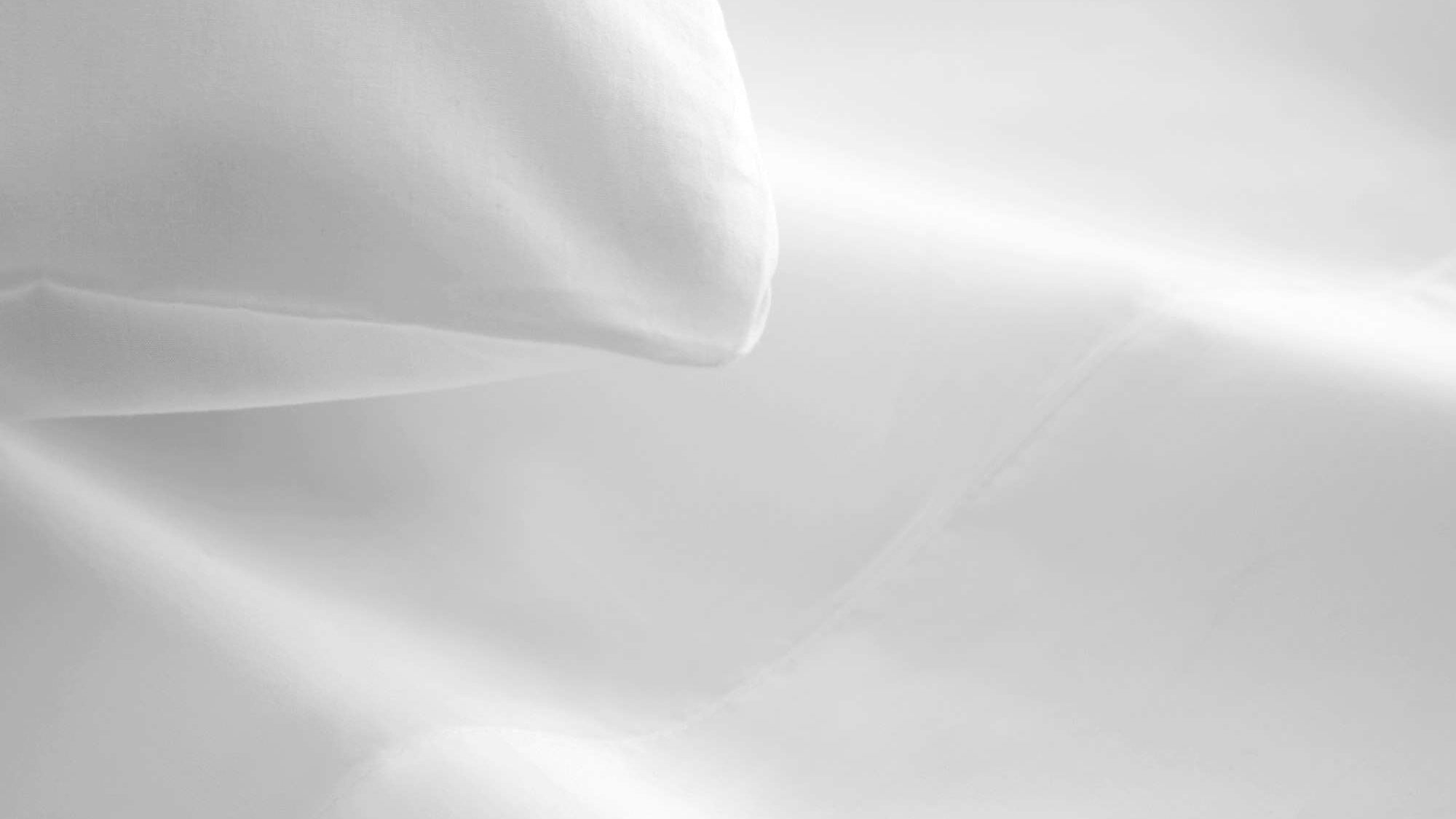 270 Tc Percale Sheet Sets sheet set with nature-inspired artwork - product view 4