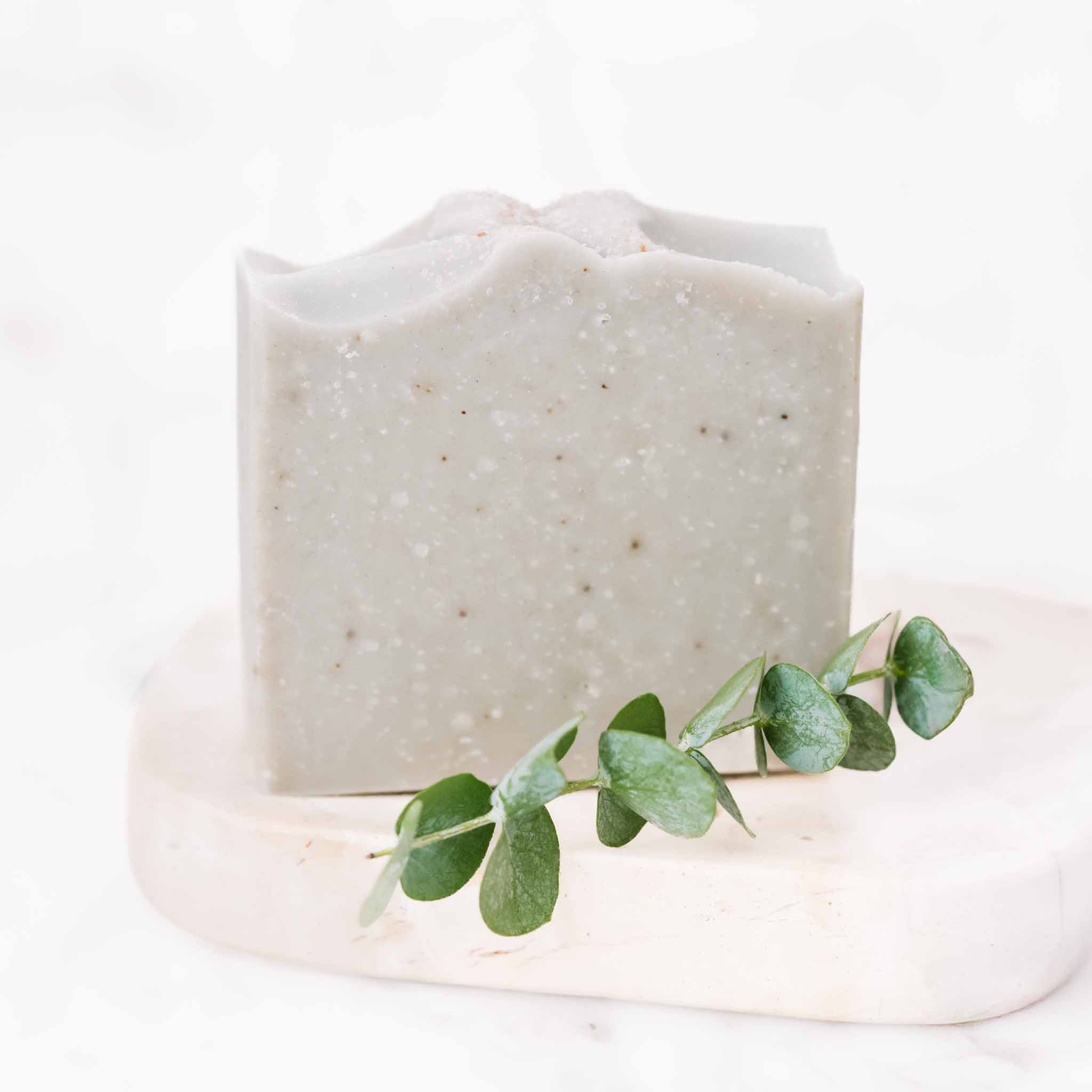 Salt + Sea Bar Handmade Tallow and Goat Milk Soap Bar bar soap with nature-inspired artwork