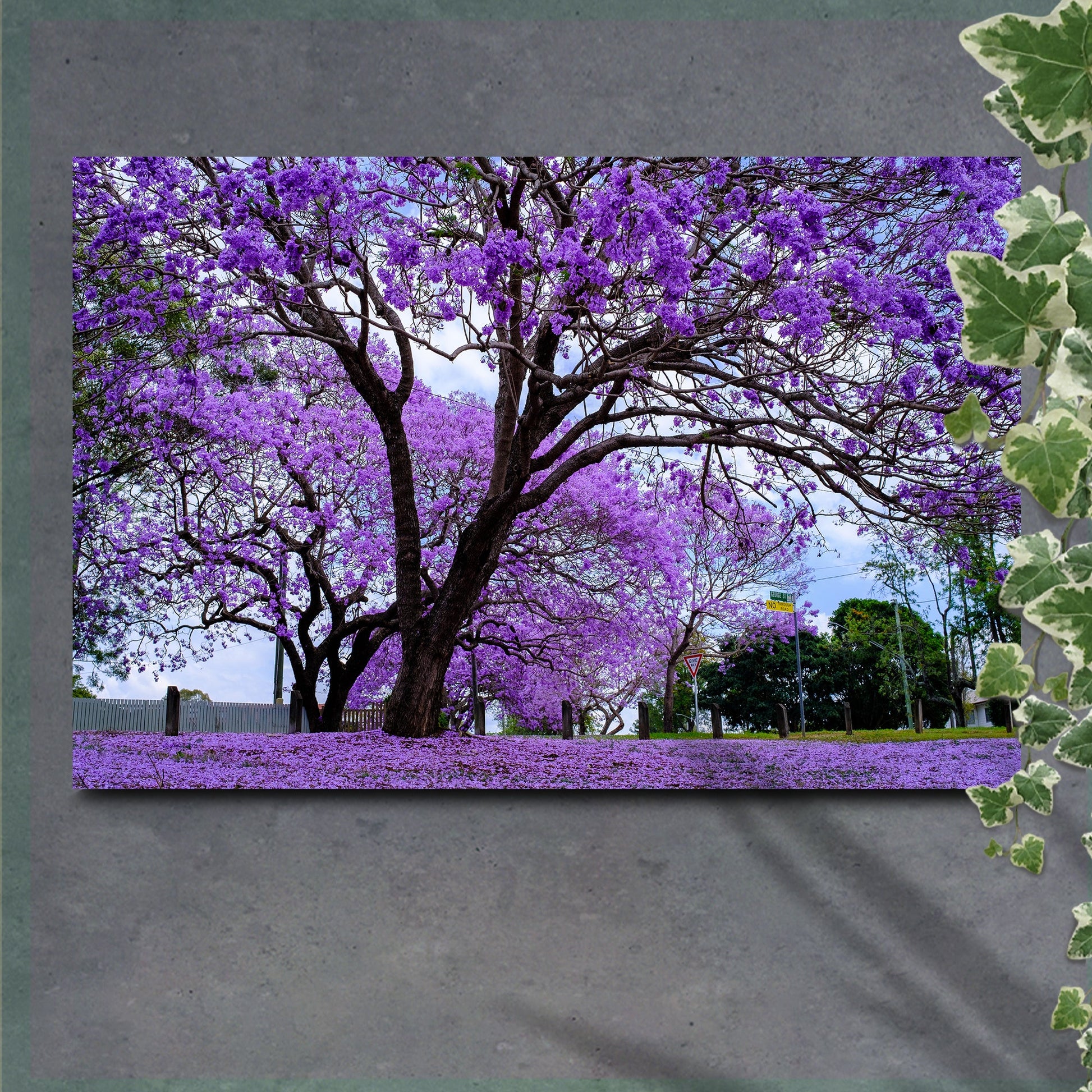 Jacaranda Trees Canvas wall art with nature-inspired artwork