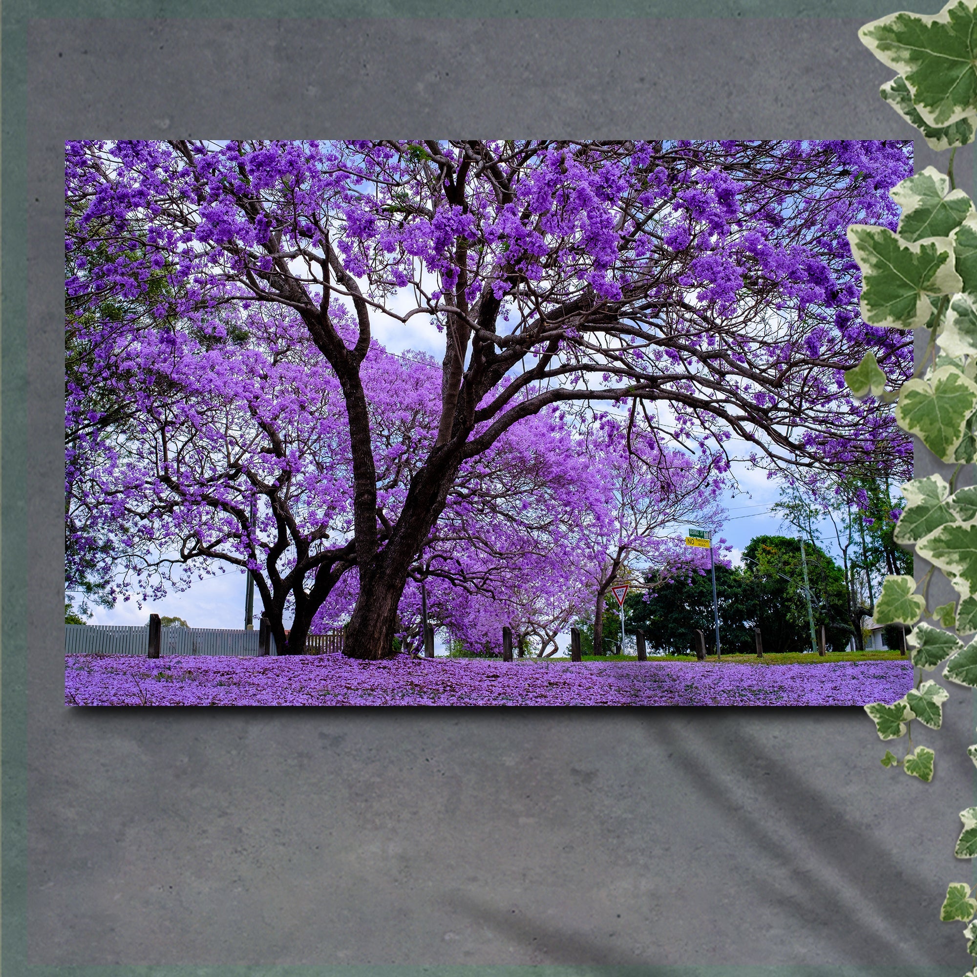 Jacaranda Trees Canvas wall art with nature-inspired artwork