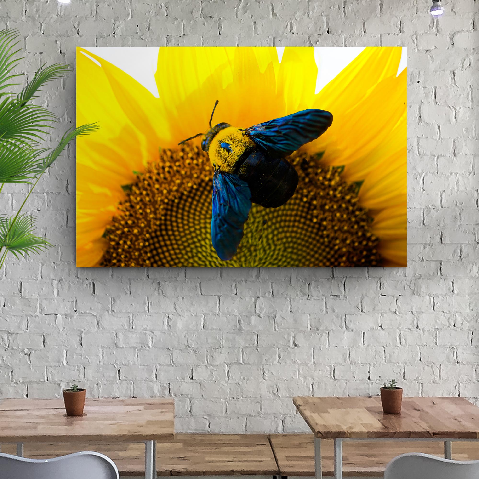 Bee Hoverfly Above a Sunflower Canvas wall art with nature-inspired artwork