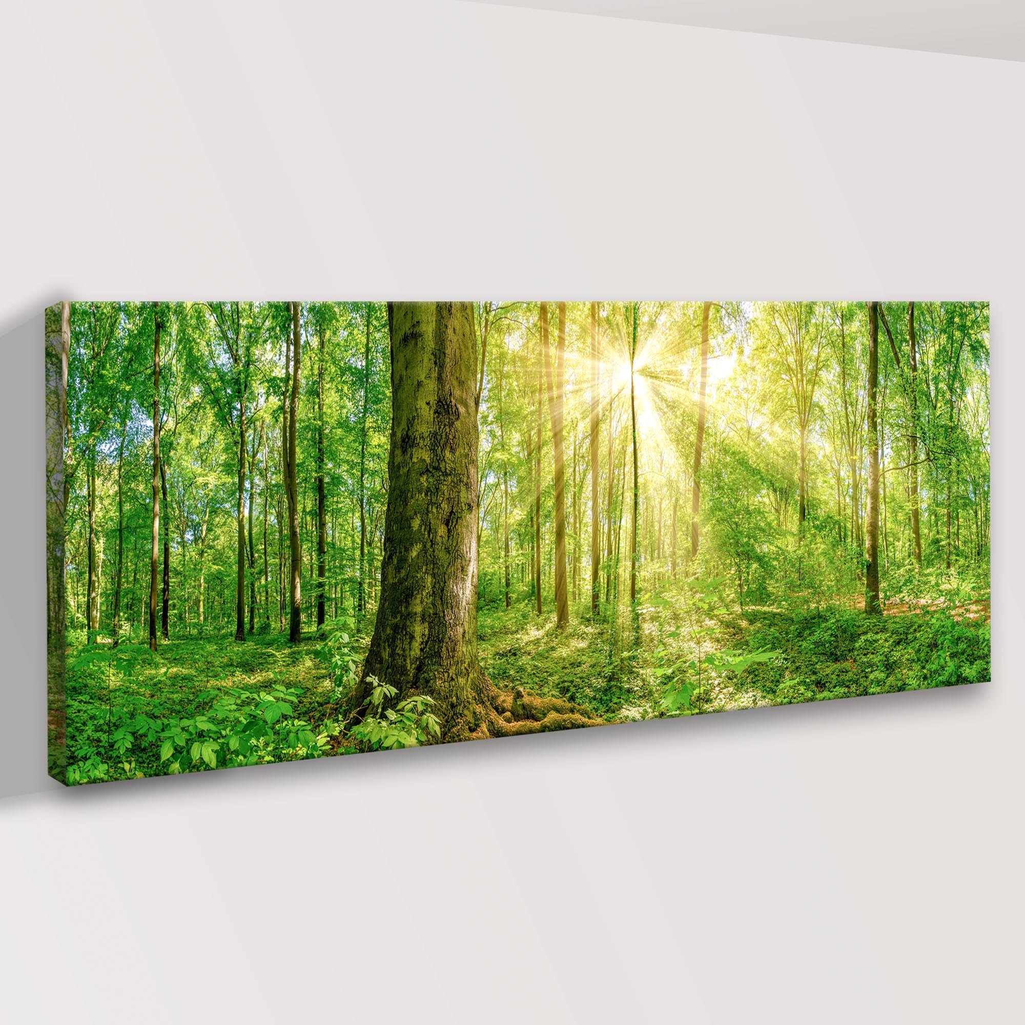 Golden Rays Into the Forest Canvas wall art with nature-inspired artwork - product view 2
