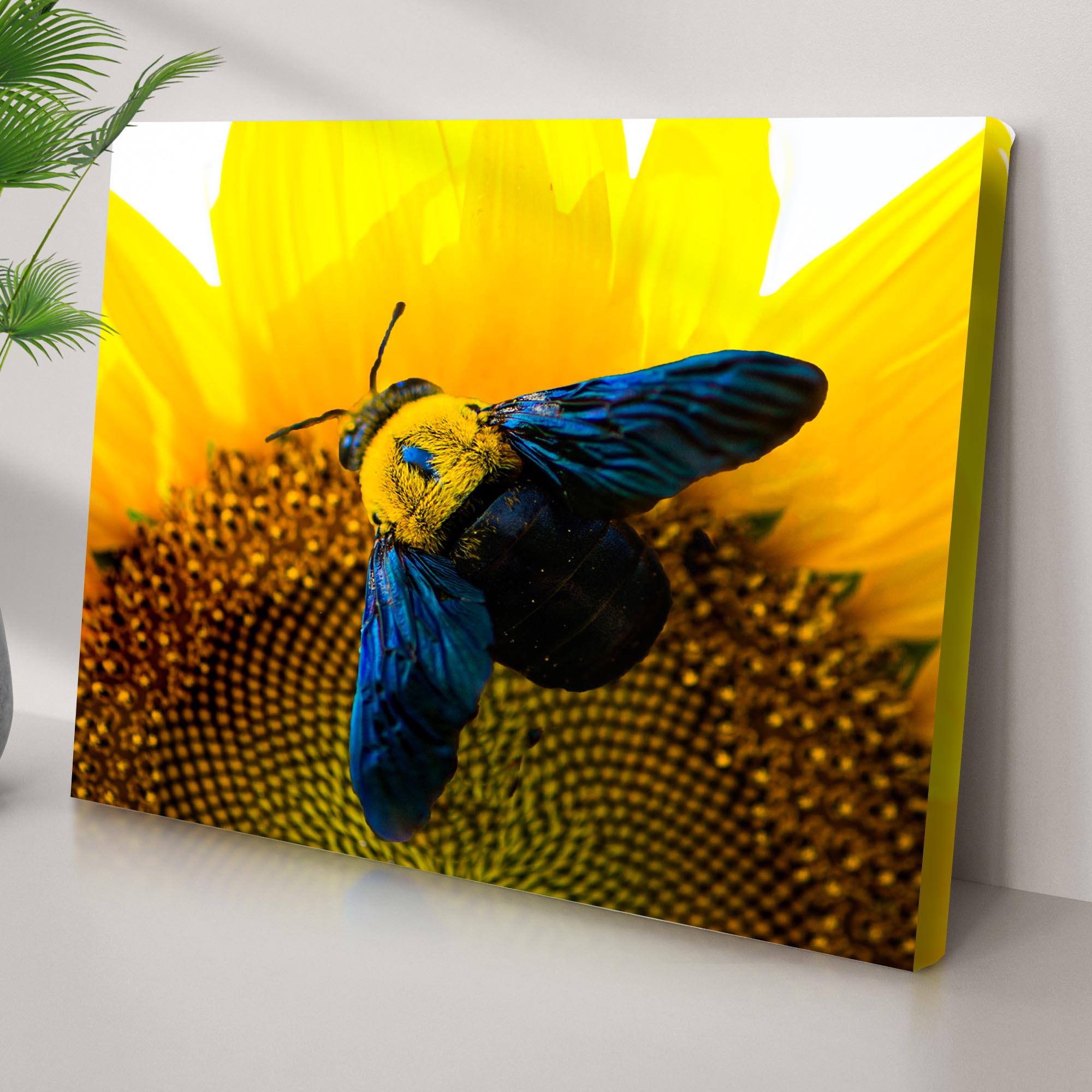 Bee Hoverfly Above a Sunflower Canvas wall art with nature-inspired artwork - product view 2