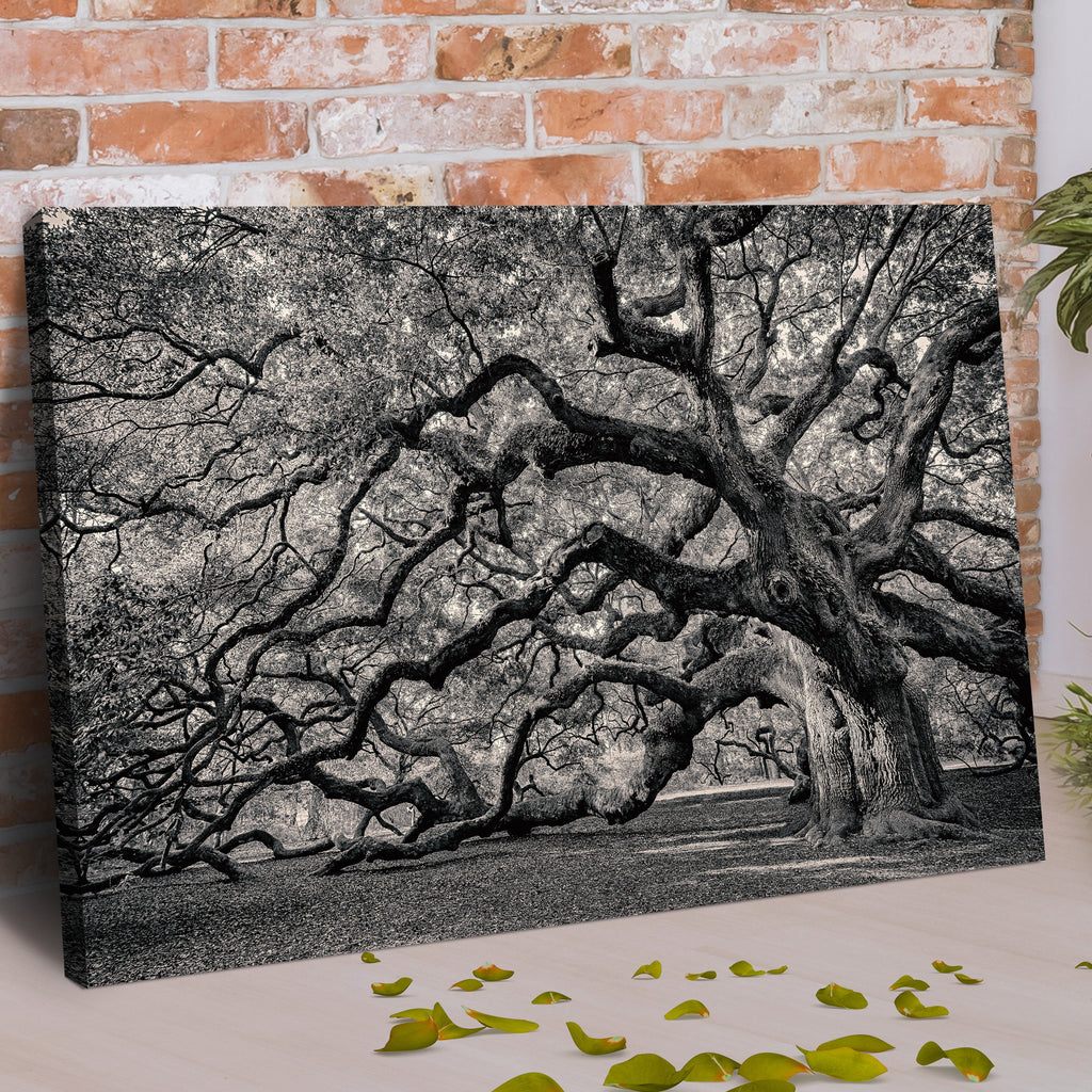 Monochrome Angel Oak Tree Canvas wall art with nature-inspired artwork - product view 2