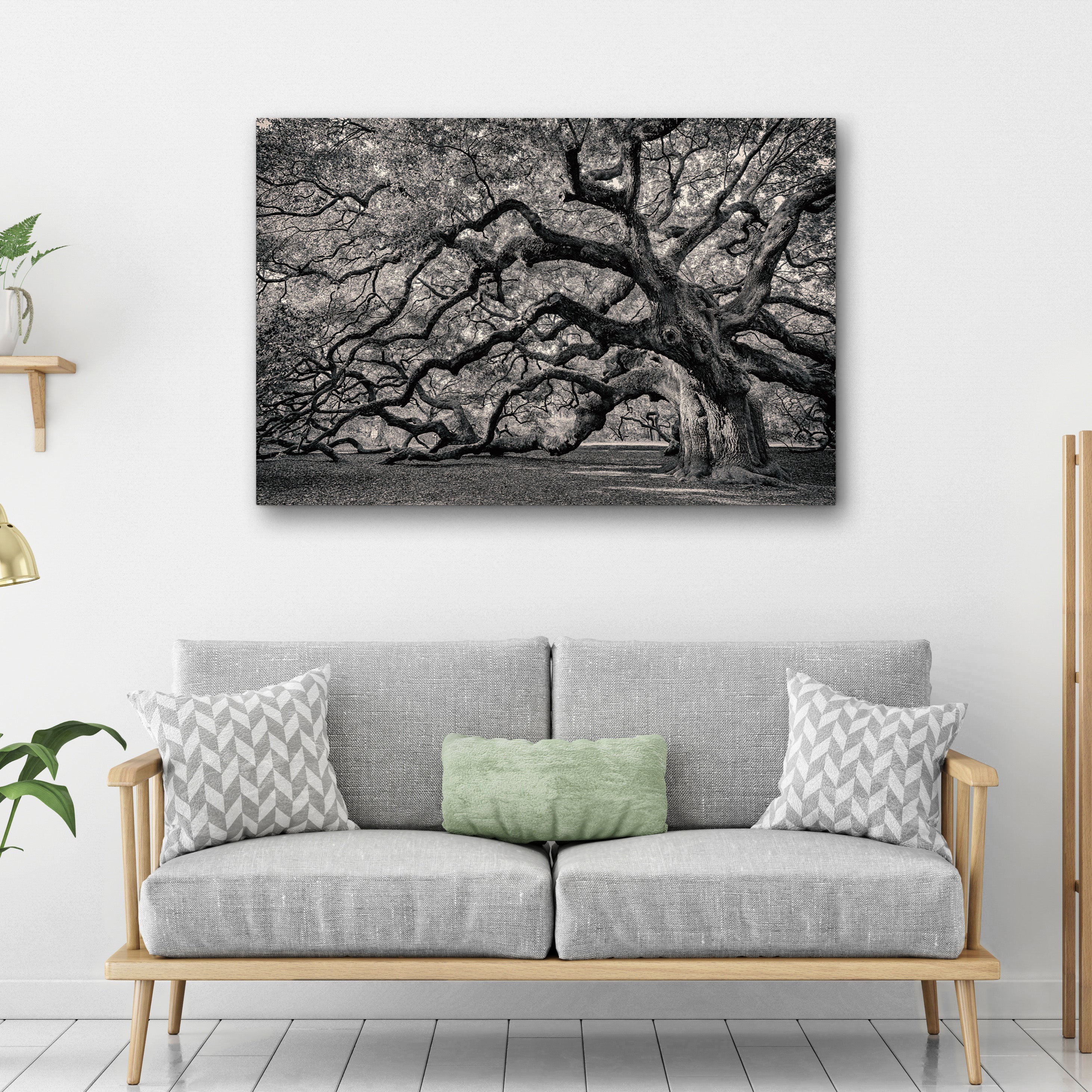 Monochrome Angel Oak Tree Canvas wall art with nature-inspired artwork - product view 3