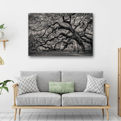 Monochrome Angel Oak Tree Canvas wall art with nature-inspired artwork - product view 3