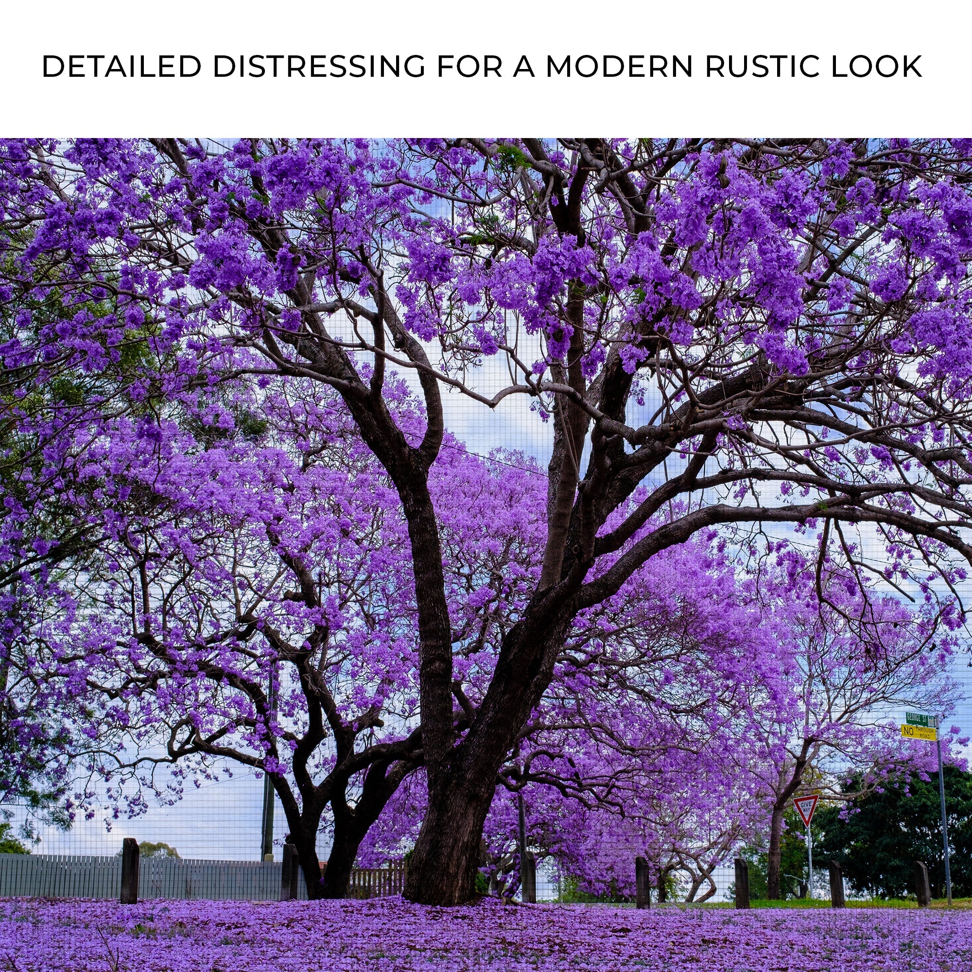 Jacaranda Trees Canvas wall art with nature-inspired artwork - product view 4