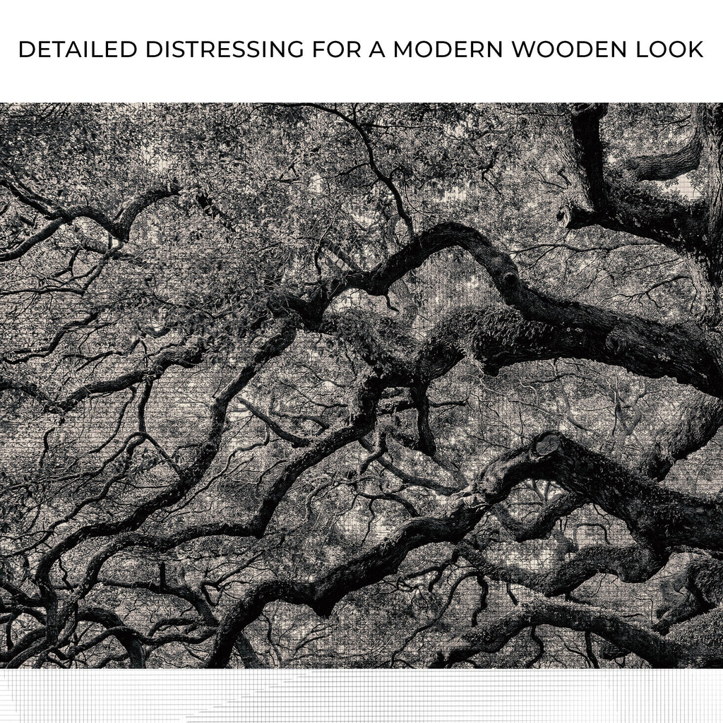 Monochrome Angel Oak Tree Canvas wall art with nature-inspired artwork - product view 4
