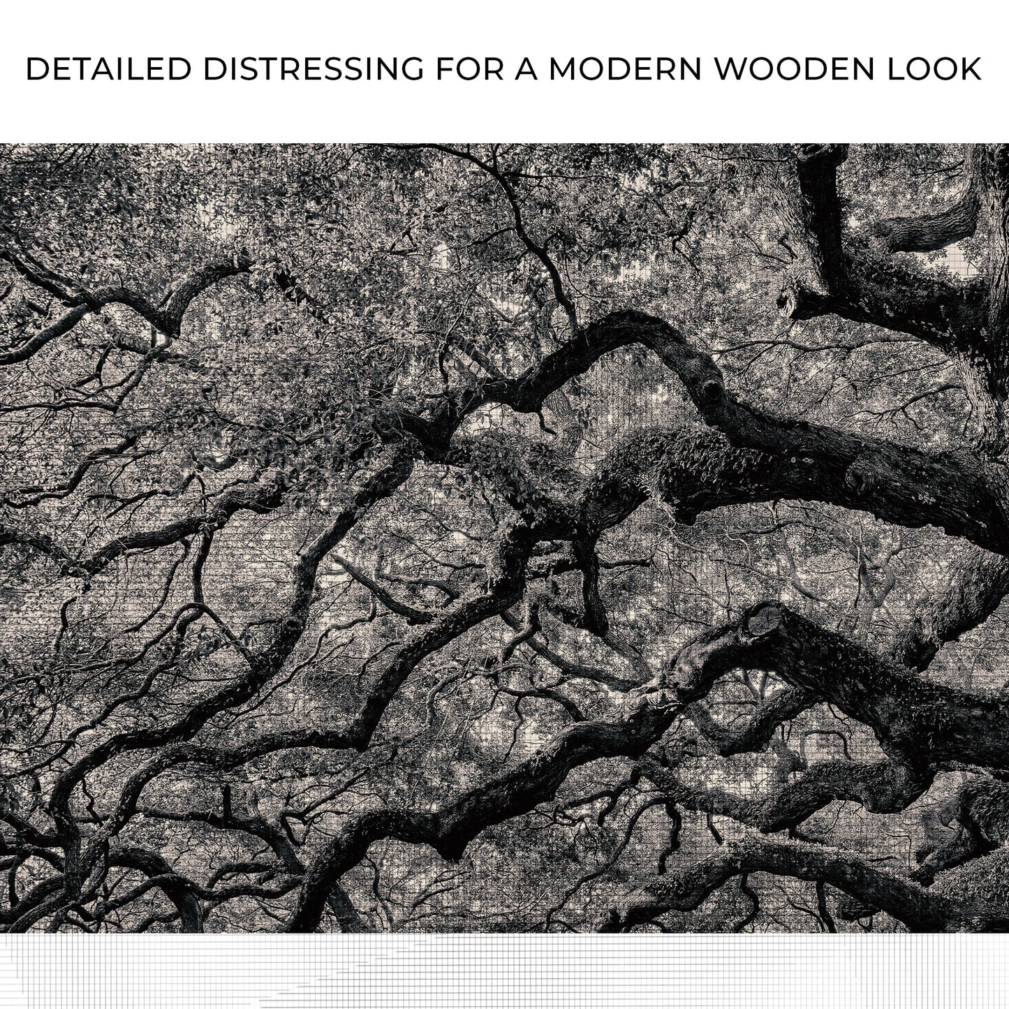 Monochrome Angel Oak Tree Canvas wall art with nature-inspired artwork - product view 4