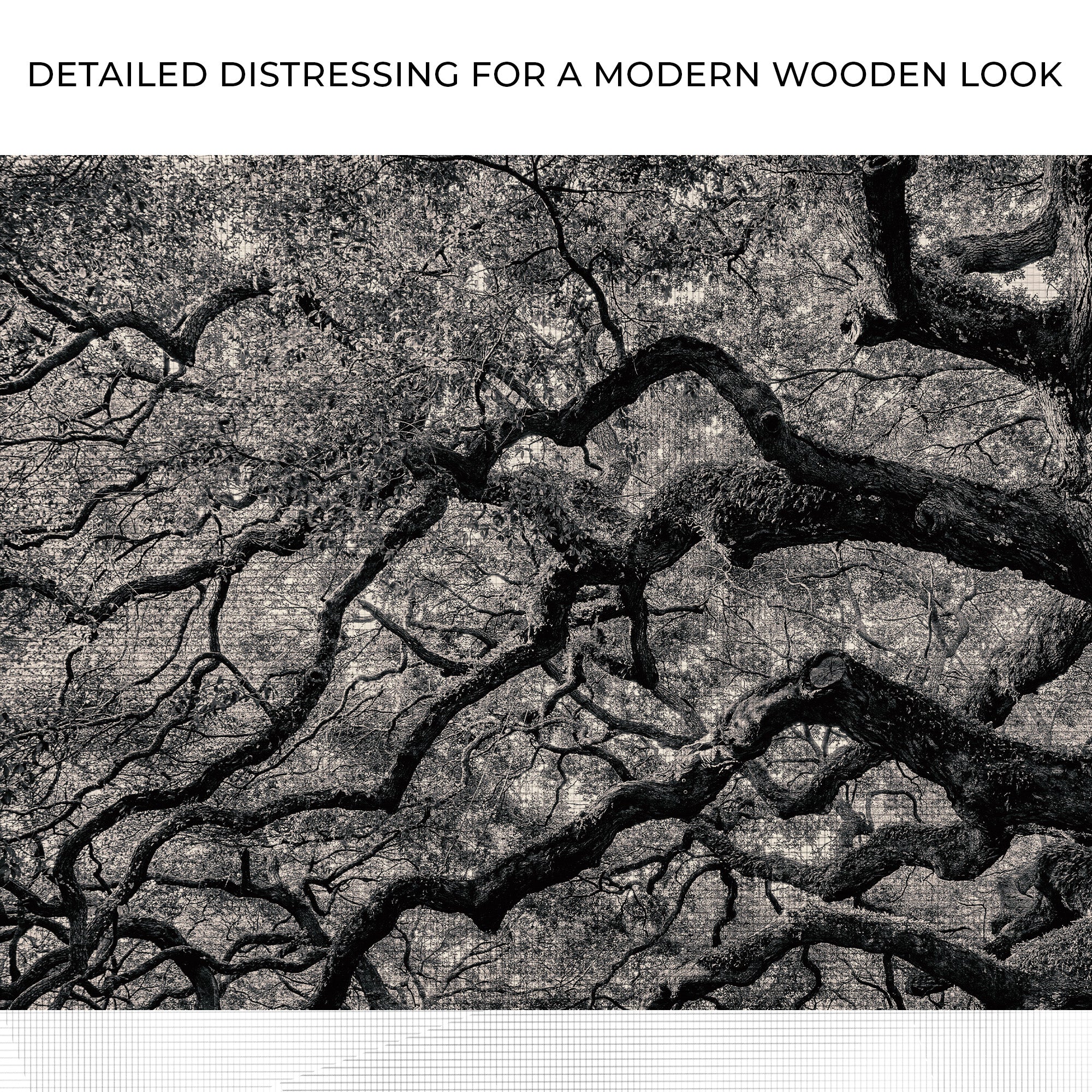 Monochrome Angel Oak Tree Canvas wall art with nature-inspired artwork - product view 4
