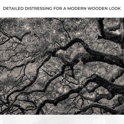 Monochrome Angel Oak Tree Canvas wall art with nature-inspired artwork - product view 4