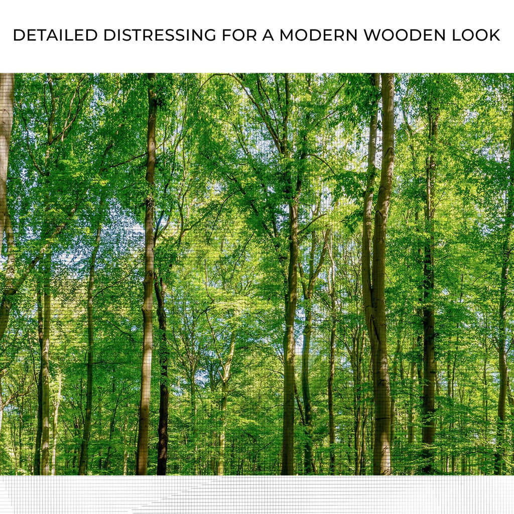 Golden Rays Into the Forest Canvas wall art with nature-inspired artwork - product view 4