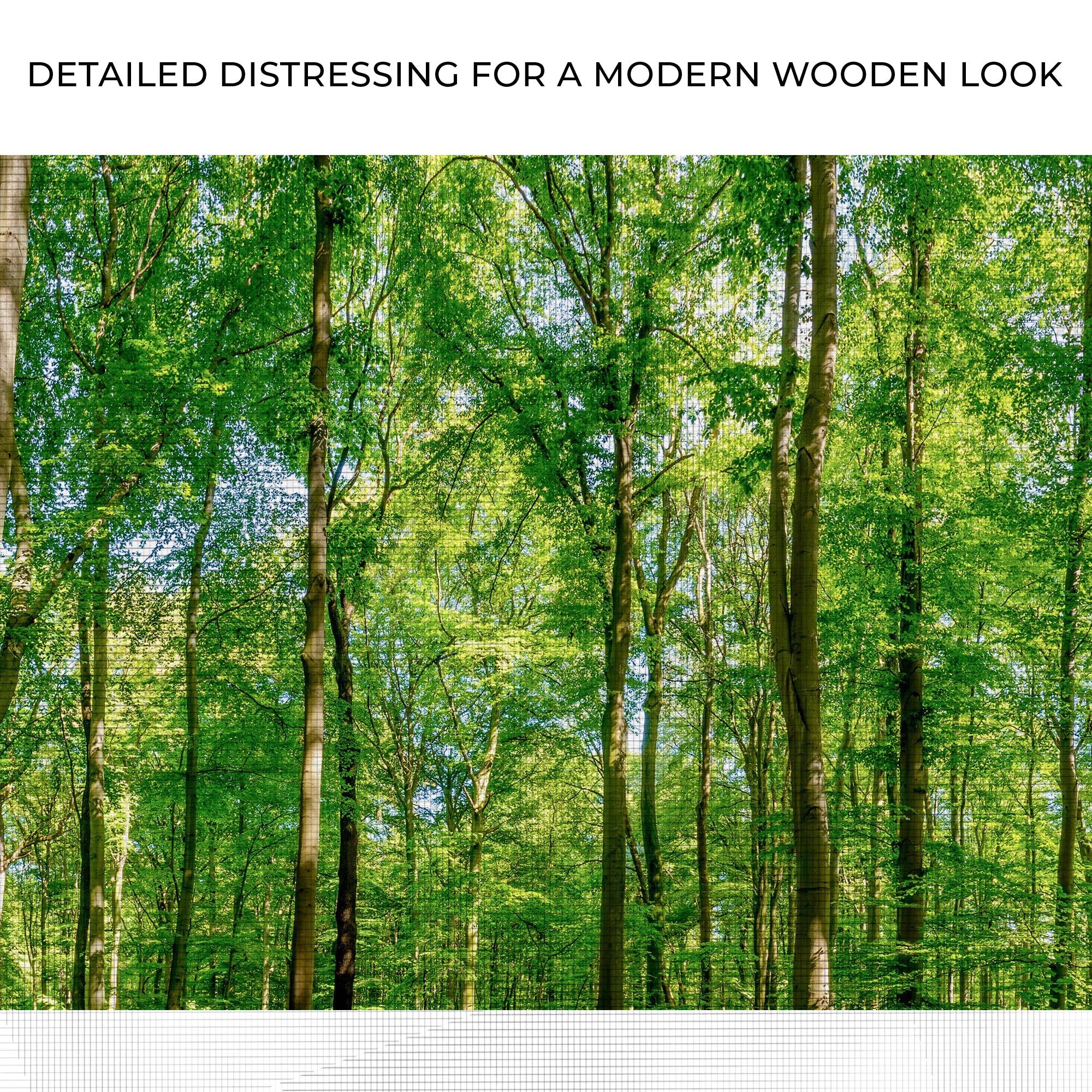 Golden Rays Into the Forest Canvas wall art with nature-inspired artwork - product view 4