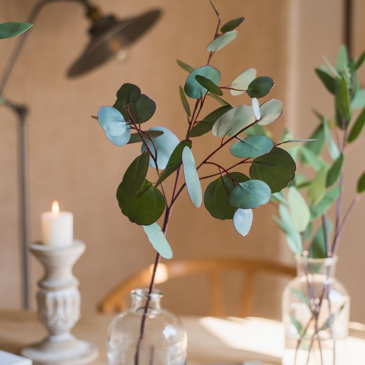 Artificial Green Eucalyptus Stem, Three Leaf Shapes