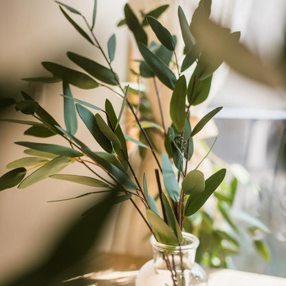 Artificial Green Eucalyptus Stem, Three Leaf Shapes