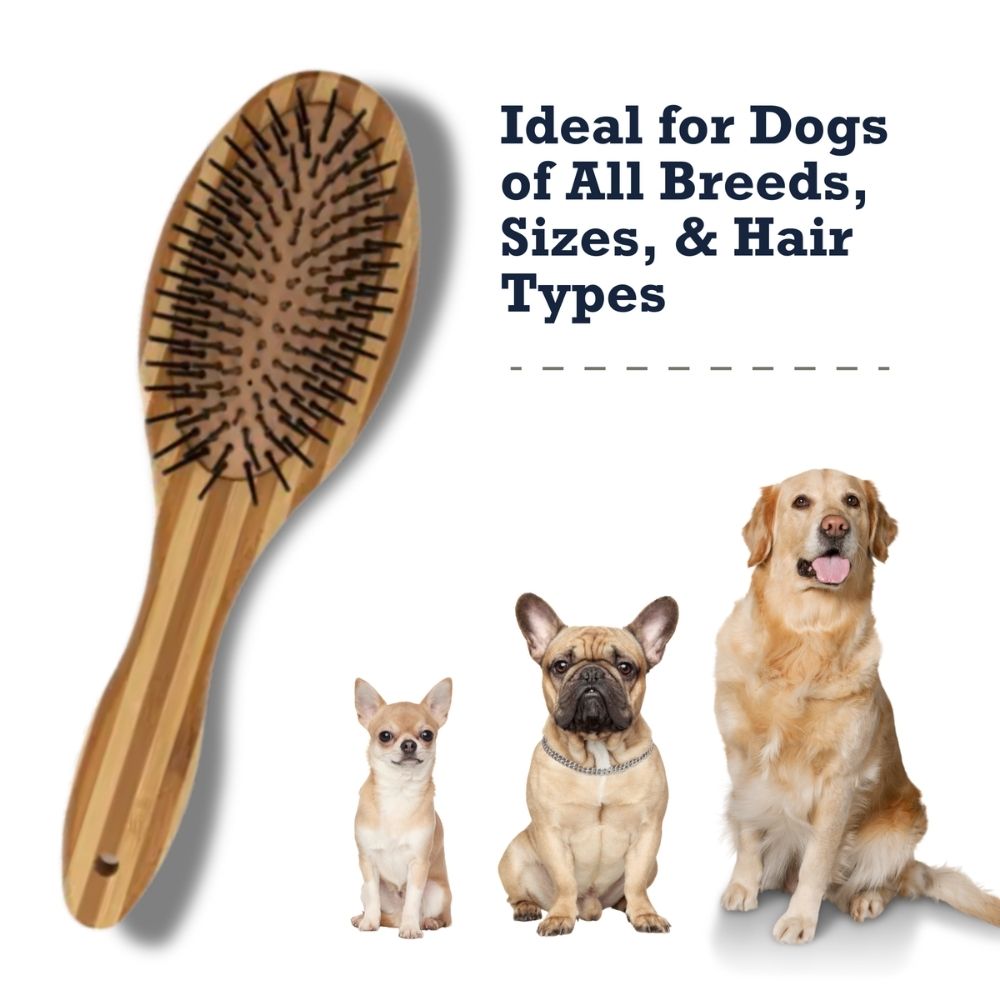 Country Living Dual grooming kits with nature-inspired artwork - product view 8