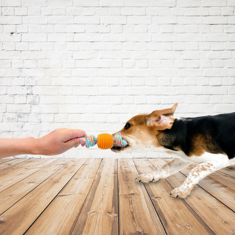 Pet Dog Toy Cotton Rope Double Knot Ball Bite Resistant Tooth uncategorized / needs cleanup with nature-inspired artwork