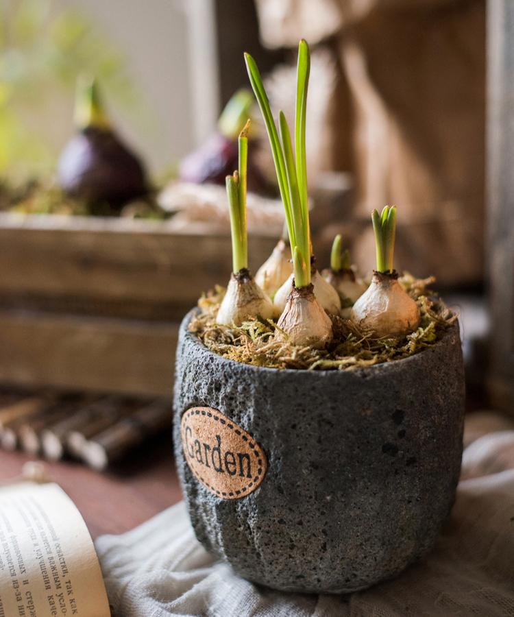 Small Gray Cement Planter, 3.9 Inches High