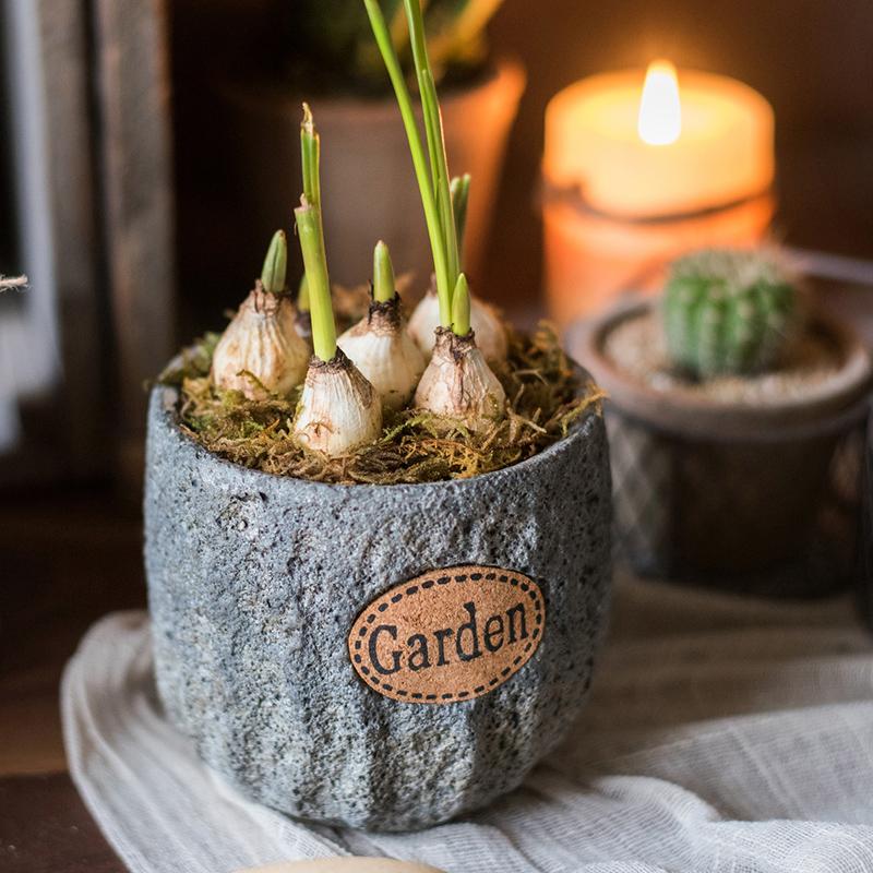 Small Gray Cement Planter, 3.9 Inches High