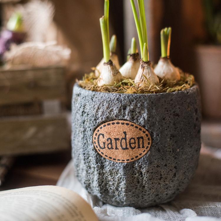 Small Gray Cement Planter, 3.9 Inches High