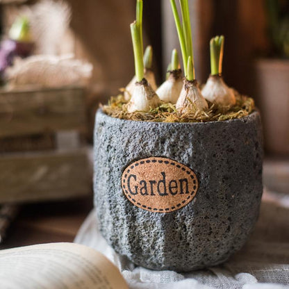 Small Gray Cement Planter, 3.9 Inches High