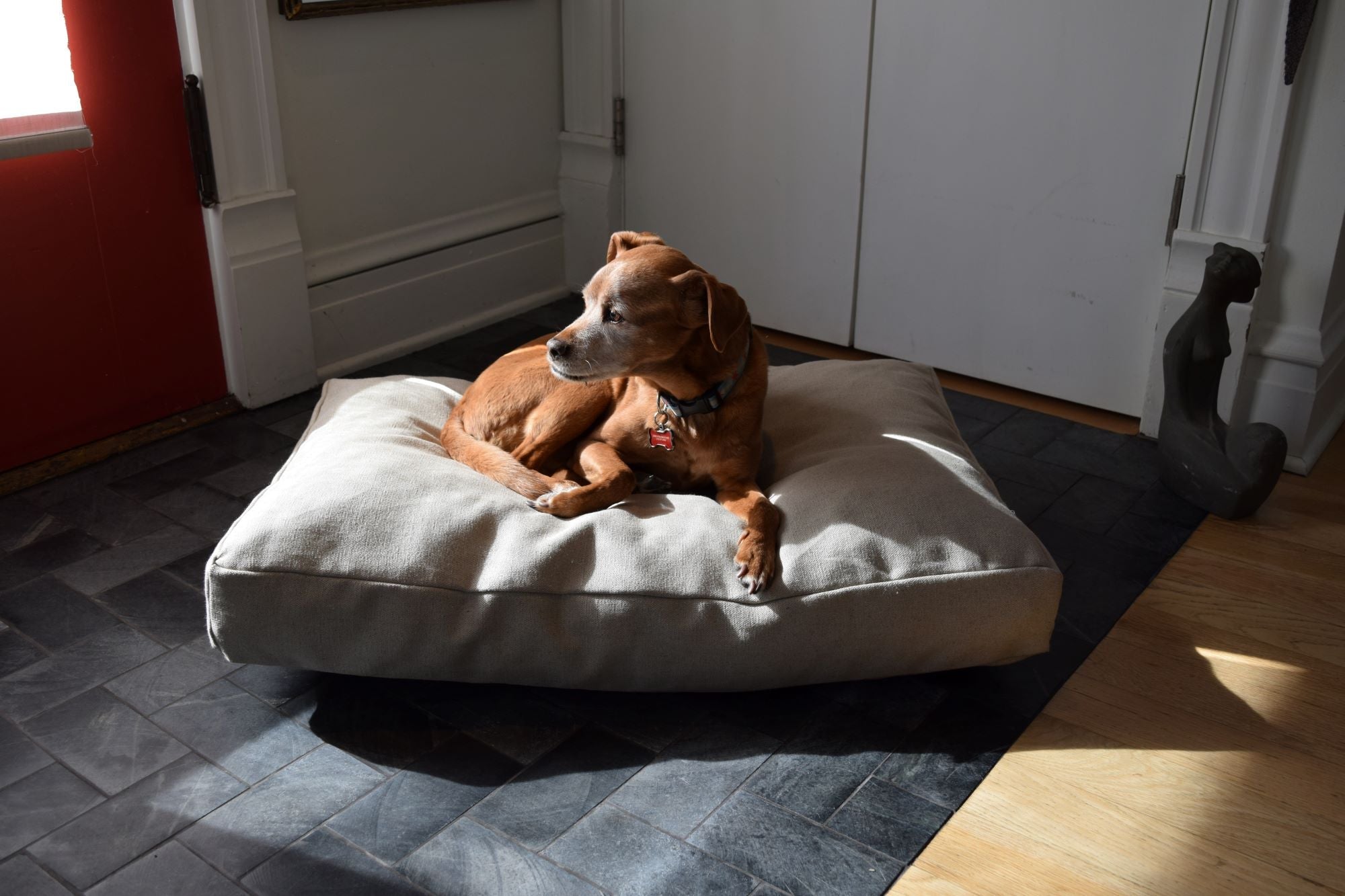 Premium Hemp Dog Bed home products with nature-inspired artwork - product view 2