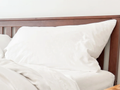 Percale Pillowcases pillow cover with nature-inspired artwork
