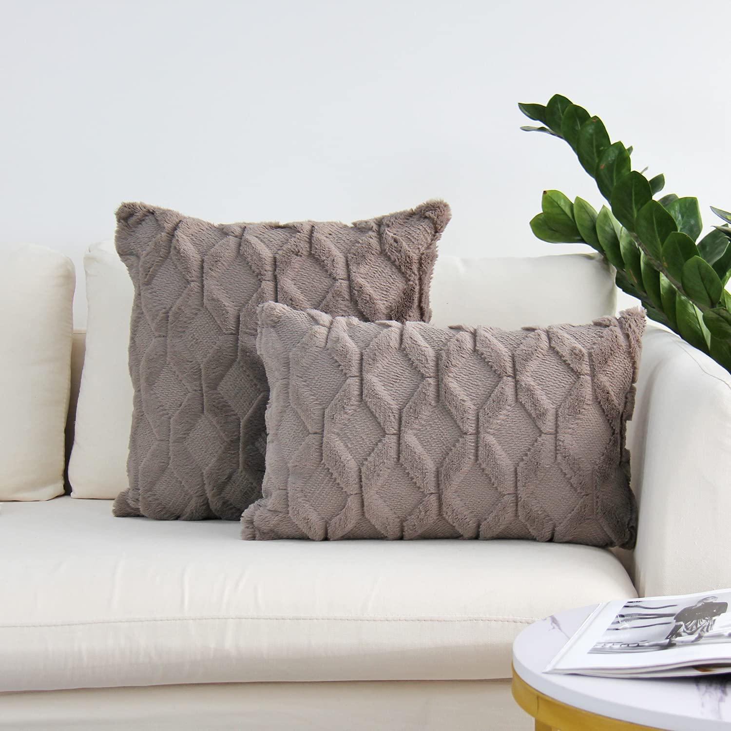 Pack of 2 Bundle One 18"x18" with a Matching Color of One 12"x20" pillow cover with nature-inspired artwork - product view 22