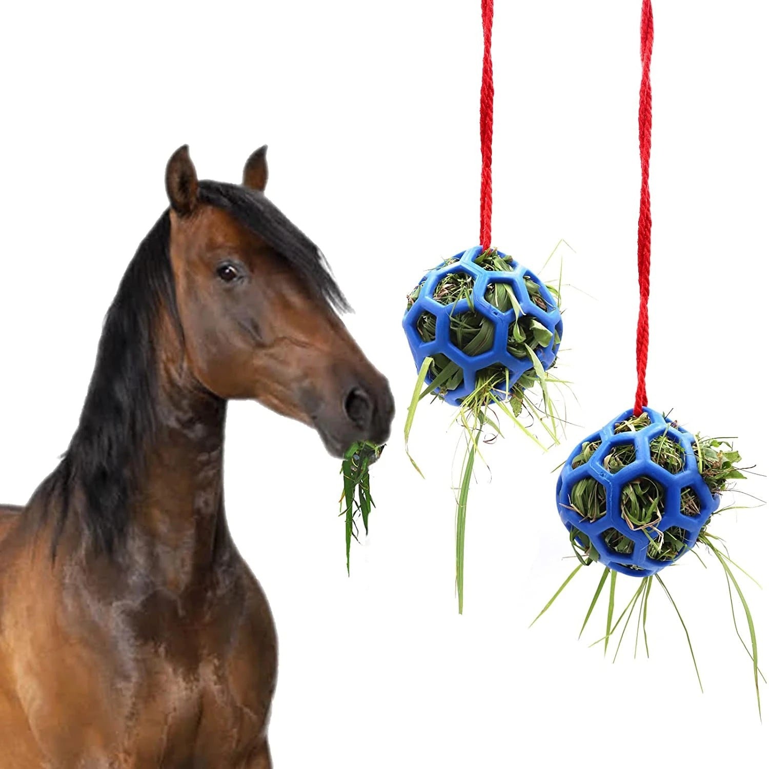 Stable Hanging Hay Feeder Toy Ball uncategorized / needs cleanup with nature-inspired artwork - product view 2