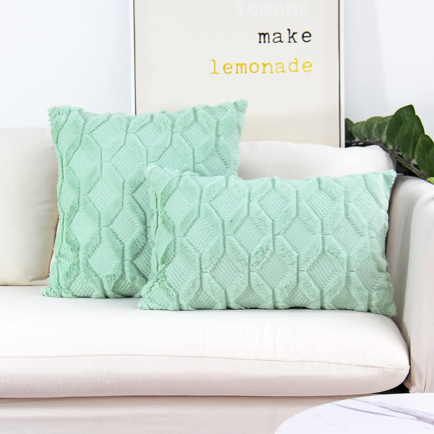 Pack of 2 Bundle One 18"x18" with a Matching Color of One 12"x20" pillow cover with nature-inspired artwork - product view 24