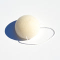 Konjac Face Sponge uncategorized / needs cleanup with nature-inspired artwork