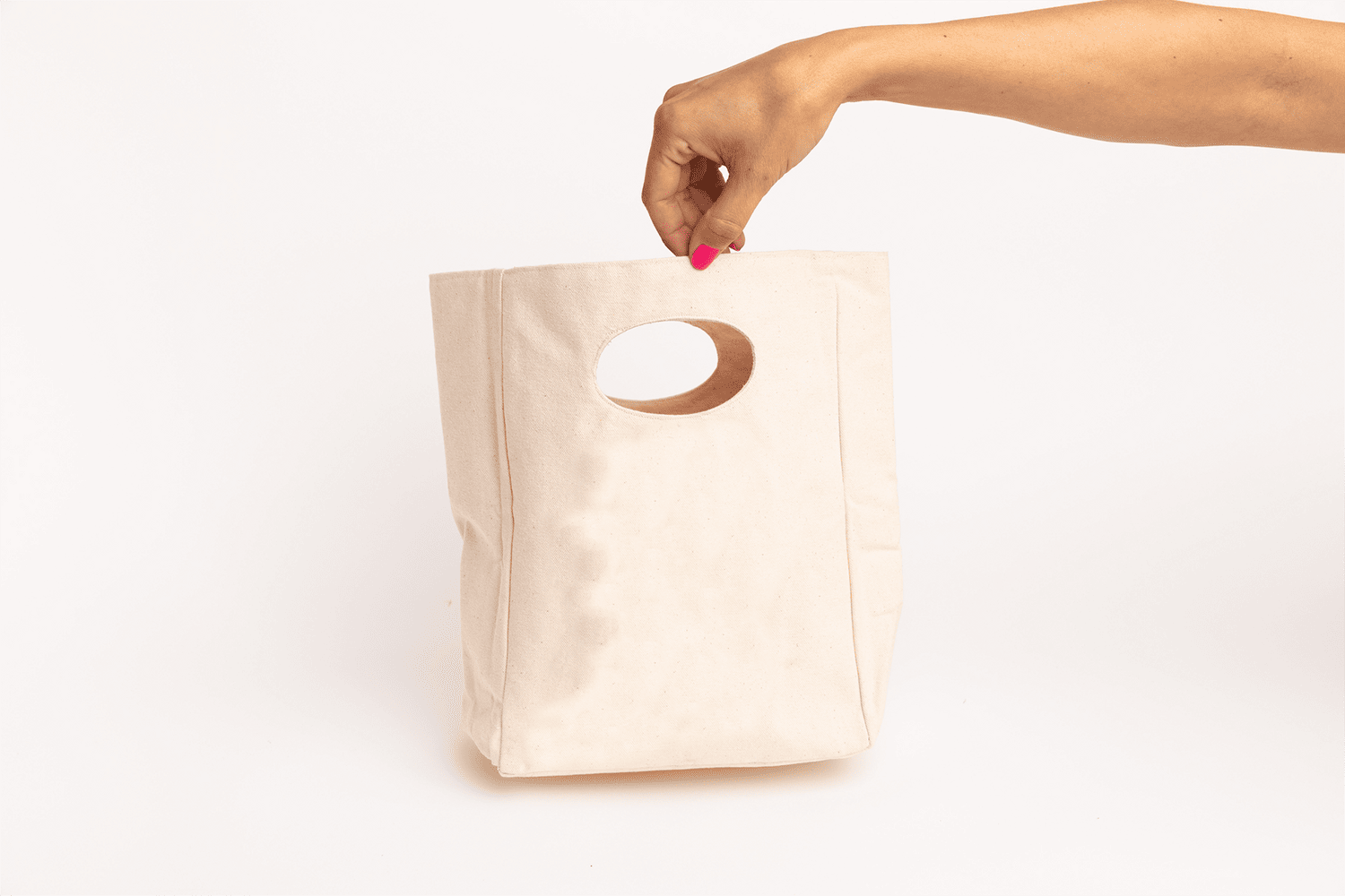 Canvas Lunch Bag wall art with nature-inspired artwork - product view 6