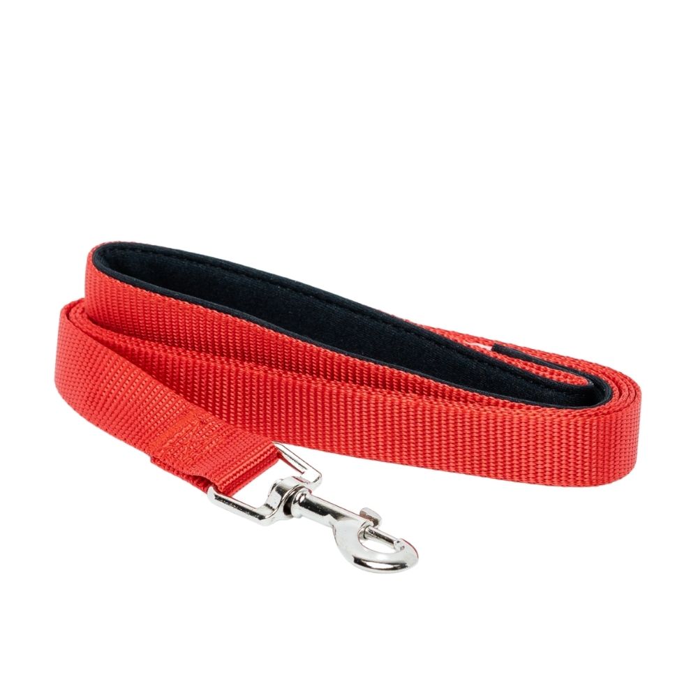 Padded Grip Dog Leash – Durable Nylon, Comfortable, and Secure – 5ft. pet leashes with nature-inspired artwork - product view 3